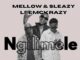 Mellow & Sleazy - Ngilimele (feat. Leemckrazy)